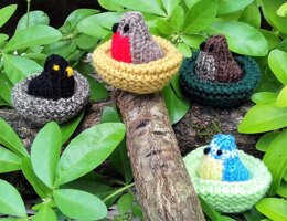 Garden Birds - Easter Egg Nests