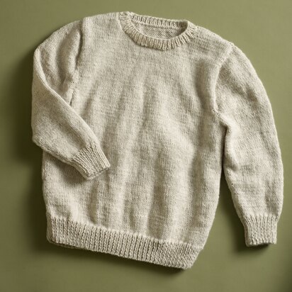 Sleeve Classic Pullover in Lion Brand Wool-Ease - 90041AD