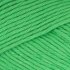 Paintbox Yarns Cotton Aran 5 Ball Value Pack - Grass Green (630)