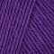 Cascade 220 Superwash - Purple Hyacinth (1986)