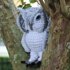 Screech the Owl Amigurumi