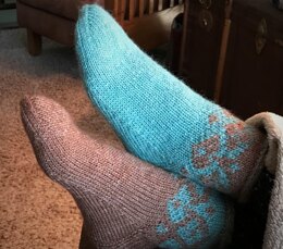 Housebound Slipper Socks