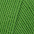 Cascade 220 Superwash - Green Apple (802)
