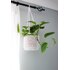 Eco Plant Pot Hanger