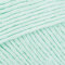 Paintbox Yarns Cotton Aran 10 Ball Value Pack - Macaron Green (670)