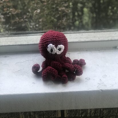 Xavier the Octopus