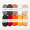 Paintbox Yarns Simply Chunky 10 Ball Colour Pack - Thanksgiving