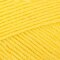 Paintbox Yarns 100% Wool Worsted 5 Ball Value Pack - Buttercup Yellow (1222)