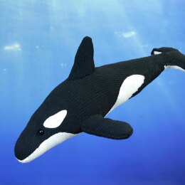 Orca Arrluk (Killer Whale)