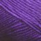 Premier Yarns Eversoft - Purple (70-28)
