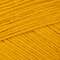 Yarn and Colors Favorite - Mustard (015)