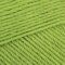 Paintbox Yarns 100% Wool Worsted Superwash - Lime Green (1228)