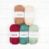 Paintbox Yarns Simply Aran 5 Ball Colour Pack Designer Picks - Hedgerow by Kate Eastwood