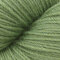 Cascade Heritage Solids - Herb (5658)