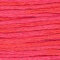 Weeks Dye Works 6-Strand Floss - Watermelon Punch (2262)
