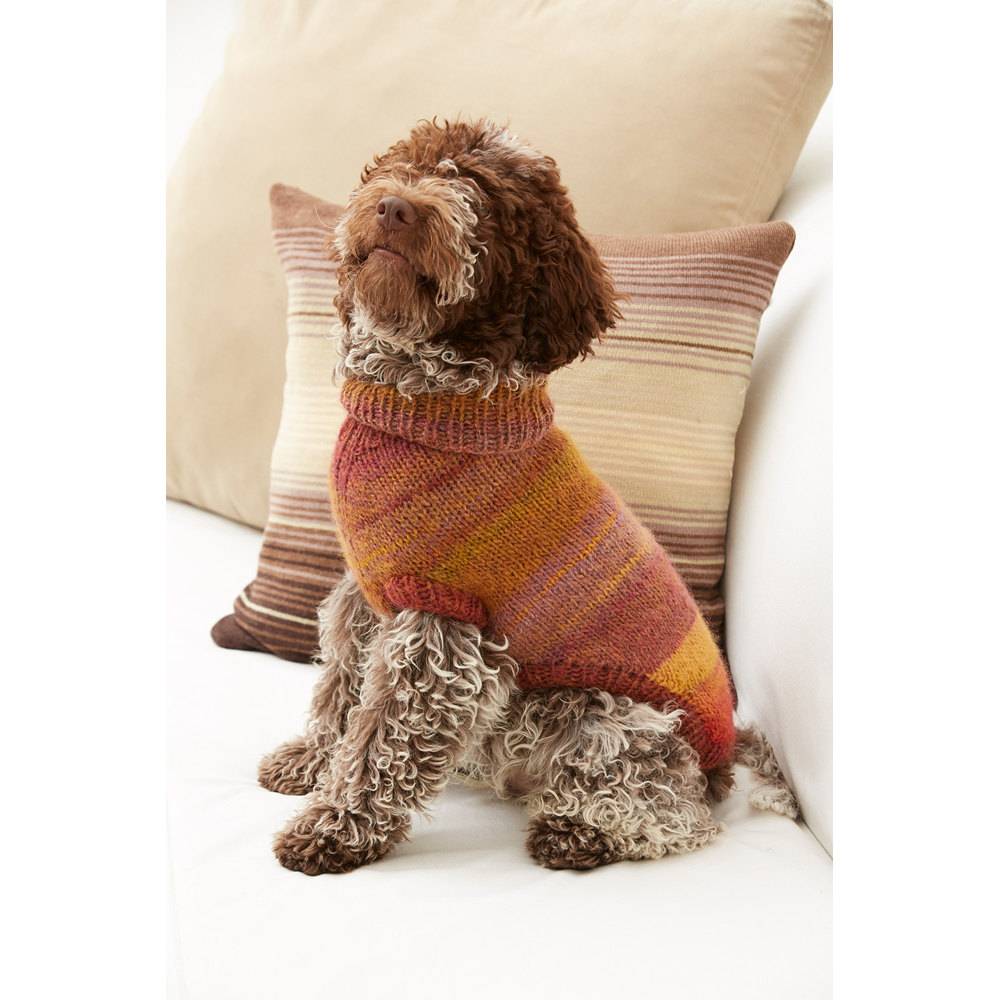 Striped Dog coat Knitting Pattern