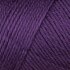 Caron Simply Soft - Purple (9781)