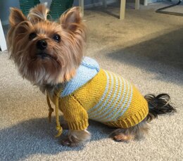 Hooded Sweater for Dogs