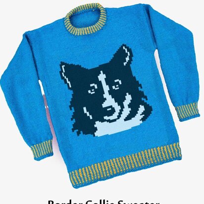 Border Collie dog sweater