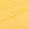 Paintbox Yarns Simply Aran 10 Ball Value Packs - Daffodil Yellow (221)