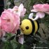 Heimlich the Bee