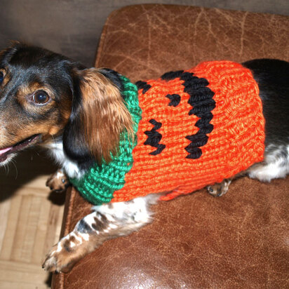Jack-O-Lantern Dog Sweater in Lion Brand Hometown USA - L32211