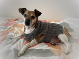 Red's simple stretchy dog jumper