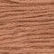 Paintbox Crafts 6 Strand Embroidery Floss - Warm Beige (271)