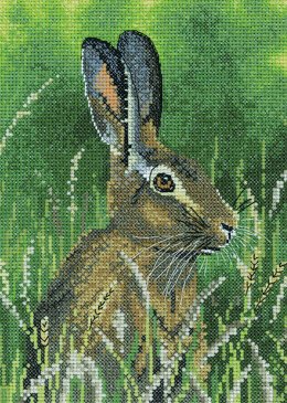 Heritage Crafts Hare Cross Stitch Kit - Multi