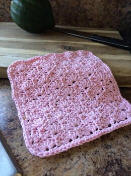 One Shell of a Dishcloth