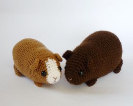 Guinea pig combo pack