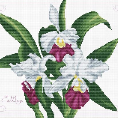 Needleart World Bouquet of Orchids No-Count Cross Stitch Kit