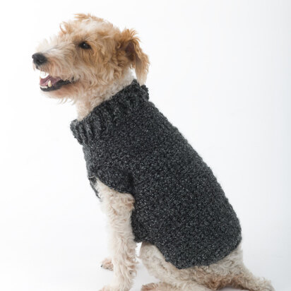 Poet Dog Sweater in Lion Brand Homespun - L32350
