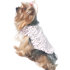 McCall's Pet Clothes M6218 - Paper Pattern Size All Sizes In One Envelope