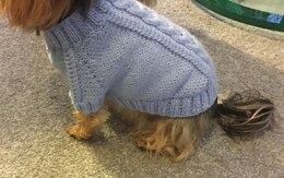 Sky Blue Dog Sweater