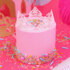 PME Cake Out Of The Box Sprinkle Mix- Princess 60g