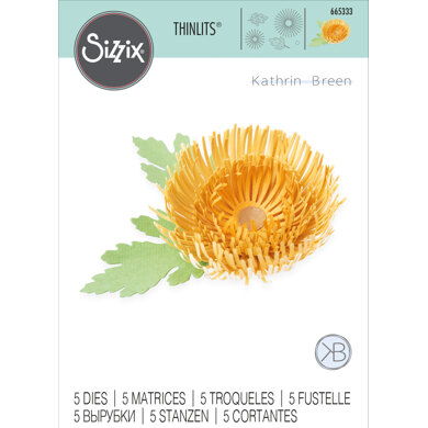 Sizzix Thinlits Die Set 5PK - Chrysanthemum by Kath Breen
