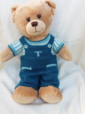 Teddy bear dungarees and top