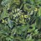 Lady McElroy Viscose Challis Lawn  - Foliage Canopy  - FoliageCanopy