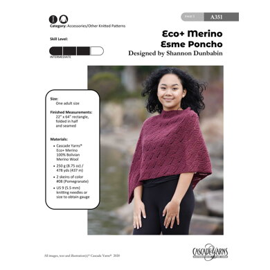 Esme Poncho in Cascade Yarns Eco+Merino - A351 - Downloadable PDF
