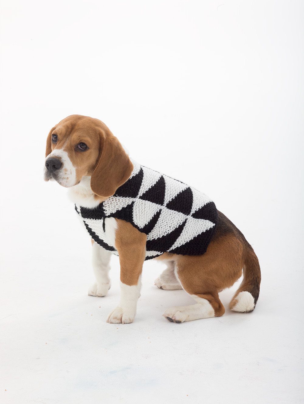 Large Puppy Dog Thick Aran Wool. Hand Knitted Francis-Parkes  Doggy Jumpers 