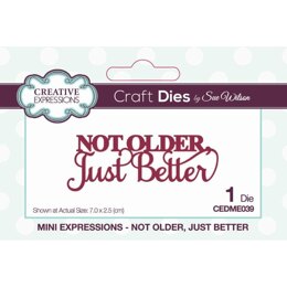 Creative Expressions Sue Wilson Mini Expressions Not Older Just Better Craft Die