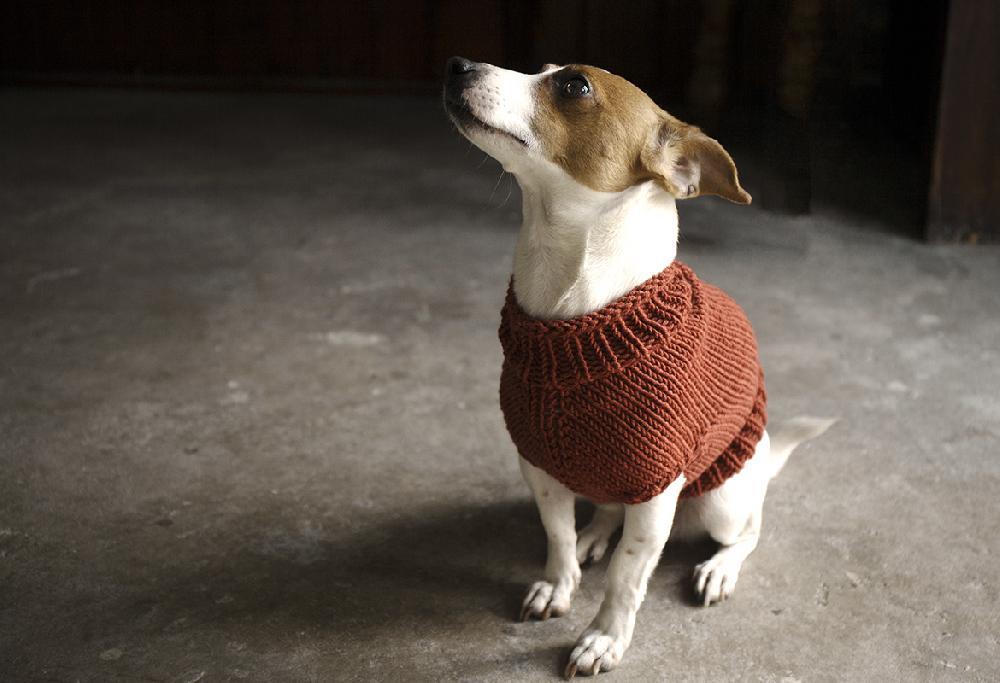 Xsmall Dragon Scale Dog Sweater Pattern