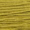 Paintbox Crafts 6 Strand Embroidery Floss - Chartreuse (260)