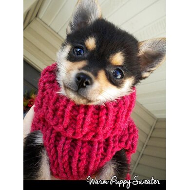 Warm Puppy Sweater