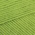 Paintbox Yarns 100% Wool Worsted Superwash - Lime Green (1228)
