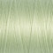 Gutermann Sew-all Thread 250m - Light Fern Green (818)