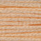 Anchor 6 Strand Embroidery Floss - 1010