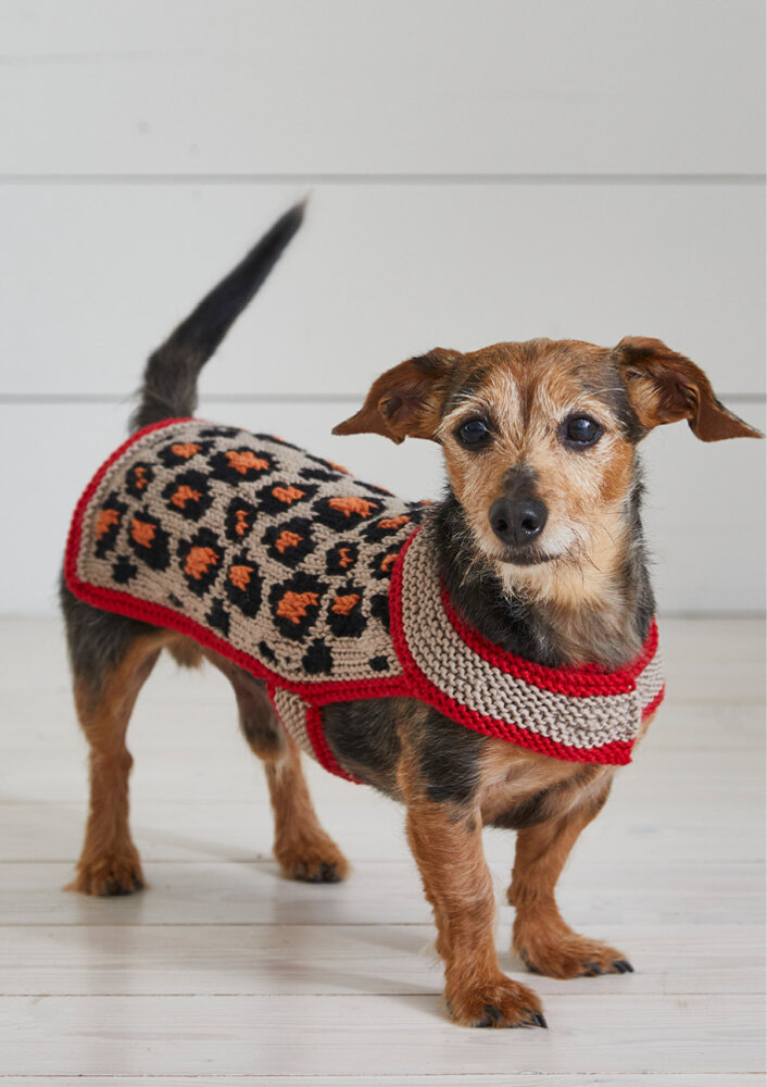 Spotted Animal Design Small Medium Dog Coat Knitting Pattern