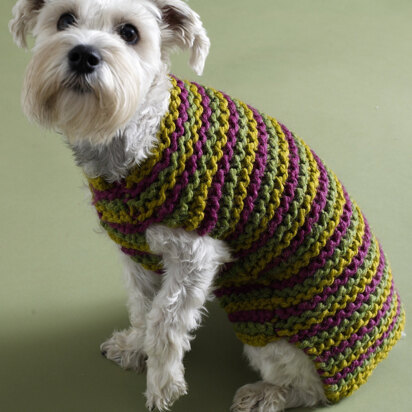 City Stripes Dog Sweater in Lion Brand Wool-Ease Thick & Quick - 80933AD